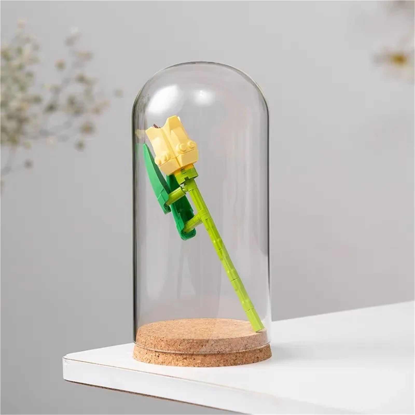 10PCS Klarglas Dome Abdeckung Cloche Glocke Gläser Spielzeug Display Blumengläser Sukkulenten Terrarien Mit Kork Basis Hause Studie zimmer Dekor Für Pflanzensammlung