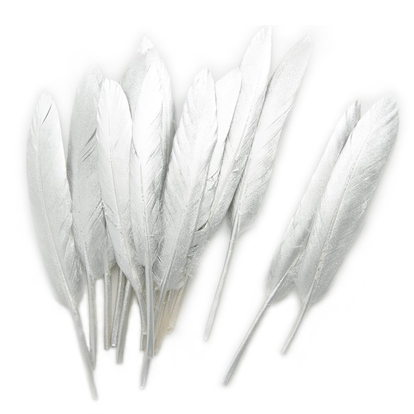 Nastro di piume coda, frange, for accessori carnevale con decorazioni nuziali artigianali(Silver 4 6 Inch)