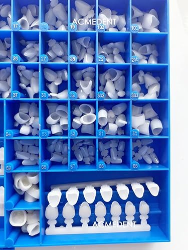 Acmedent 66Size Temporary Crowns Dental Molar Anterior Crown Mold Premolar 390Pcs thumb #1