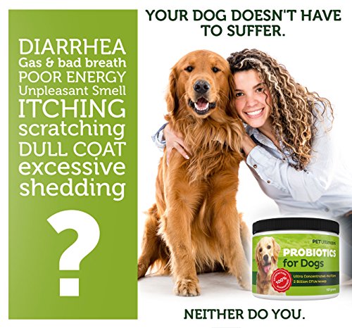 Pet Ultimates Probiotics For Dogs – 22-Species Dog Probiotics For Dog Digestive Support & Dog Antibiotics Recovery – Skin And Coat Supplement For Dogs Enhances Vitality – Dog Health Supplies (137 Gr) #TOP1
