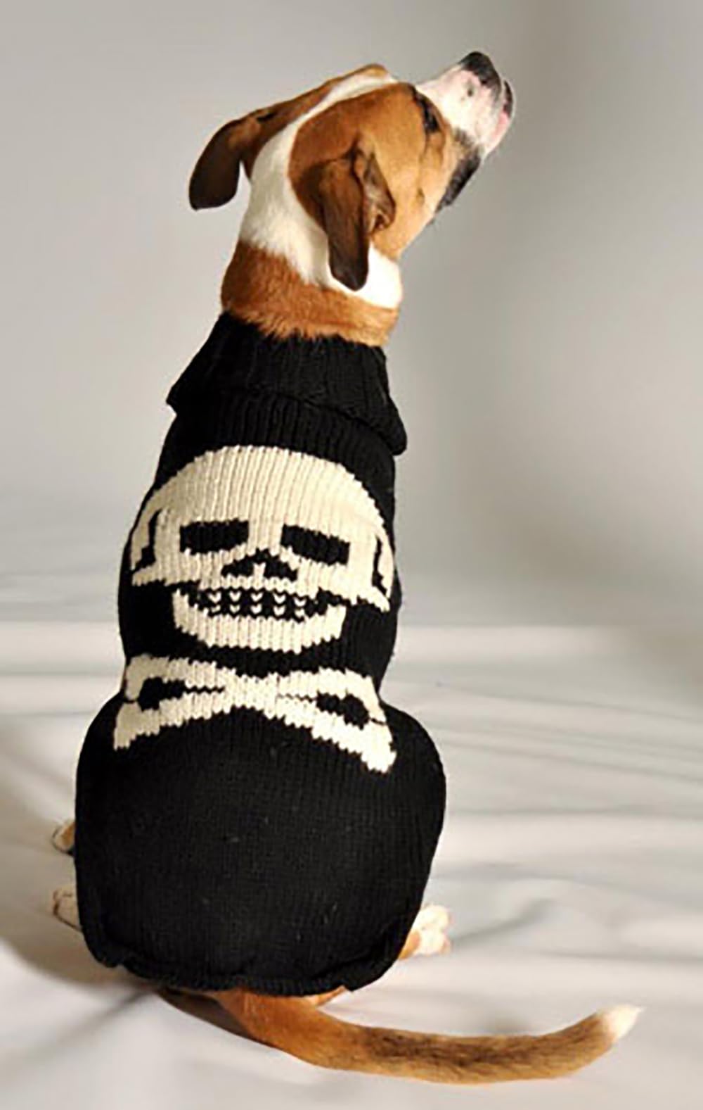 Chilly Hundepullover Totenkopf