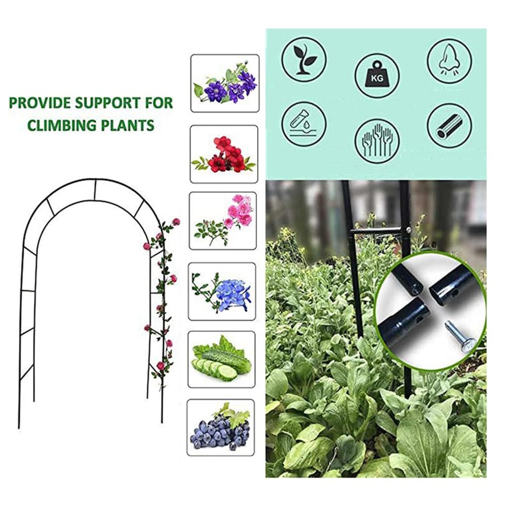 Gartenspalier aus Metall, für Kletterpflanzen, Breite 120 cm, 240 cm, dekorativer Garteneingang für Reben und Rosen, stabiler Outdoor-Torbogen (Größe: B 300 x H 220 cm)