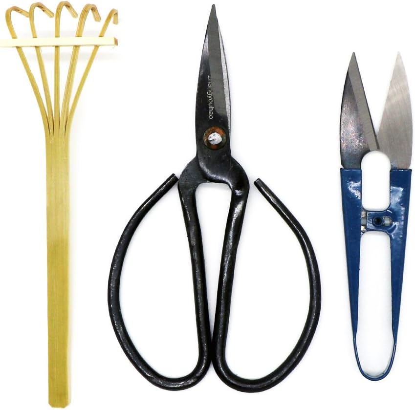 Bonsai Tree Pruning Trimming Tool Kit - Pruning Scissors, Bonsai Scissors for Bud & Leaves Trimmer, Bamboo Rake - Set of 3