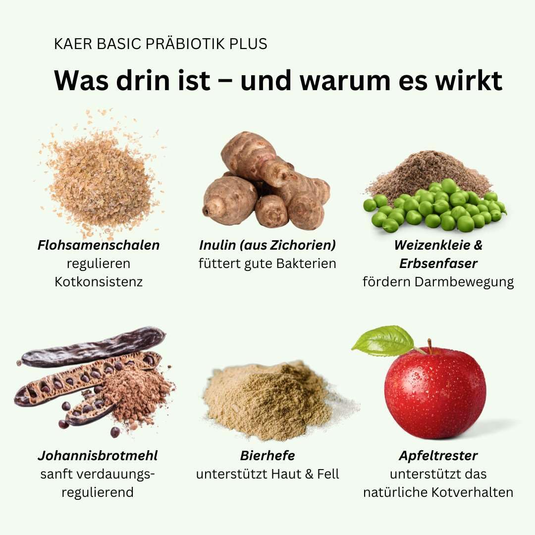 Prebiotico Plus per cani, per ghiandole anali ostruite, mangimi di escrementi, prurito, leccare le zampe e bruciore di stomaco, con fibre naturali per rafforzare la flora intestinale, 500 g