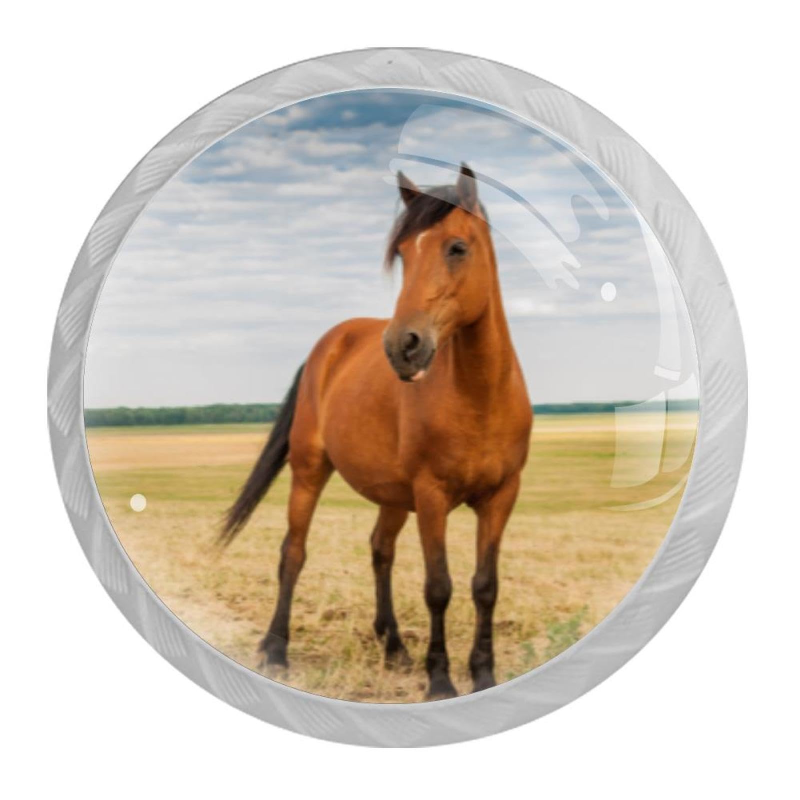 Tqmspg Multi Animal Horse