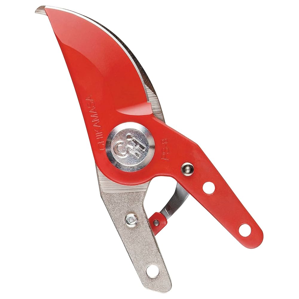 Amazon | 近正(CHIKAMASA) PS-8用替刃 幅50×高さ120×奥行き20mm