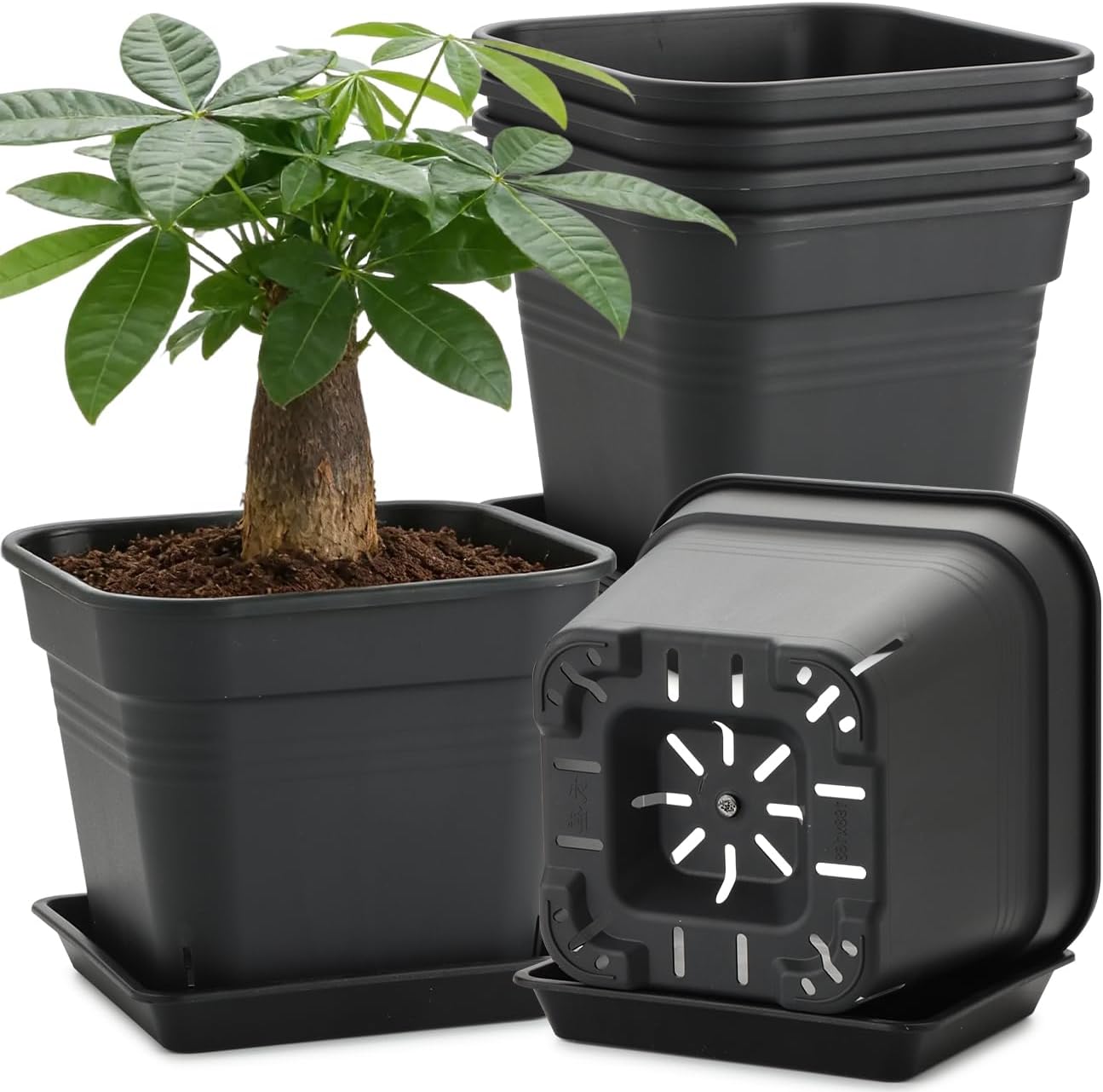 8'' Square Planters with Trays - 6 Pack Heavy Duty Plastic Plant Pots, 24 Strip Drainage Holes for Root Aeration & Prevention of Root Rot, Raised Bottom Airflow Center, BPA-Free Black Flower Pots