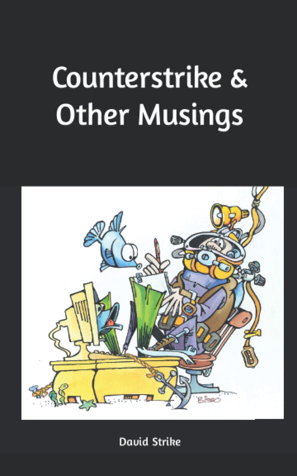 Counterstrike & Other Musings