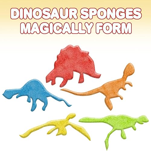 Miniatura 4 de ArtCreativity Magic Growing Dinosaur Capsules, 2 paquetes, 24 cápsulas de dinosaurio expandibles, crecer en agua, variedad de colores y diseños,