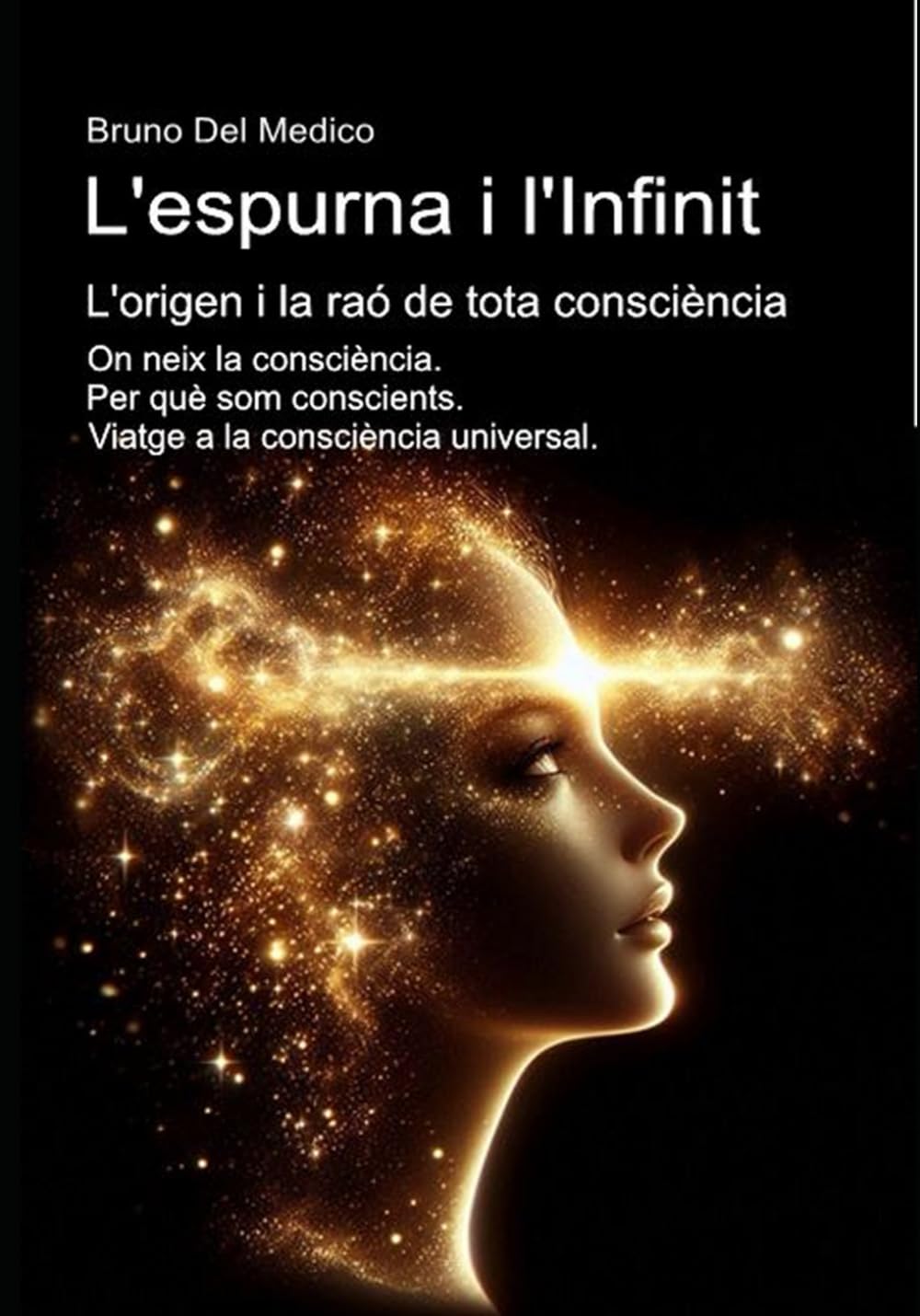 L'espurna i l'Infinit. L'origen i la raó de tota consciència.: On neix la consciència. Per què som conscients. Viatge a la consciència universal. ... Consciència quàntica en un cosmos unitari.)