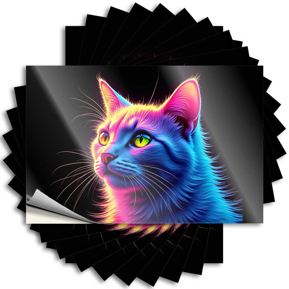 Stuff for Your Room Half Funny Sticker - Rainbow Cat: A Colorful Feline Portrait Removable Decal Tumbler Easy Peel for Teens(12X18CM)