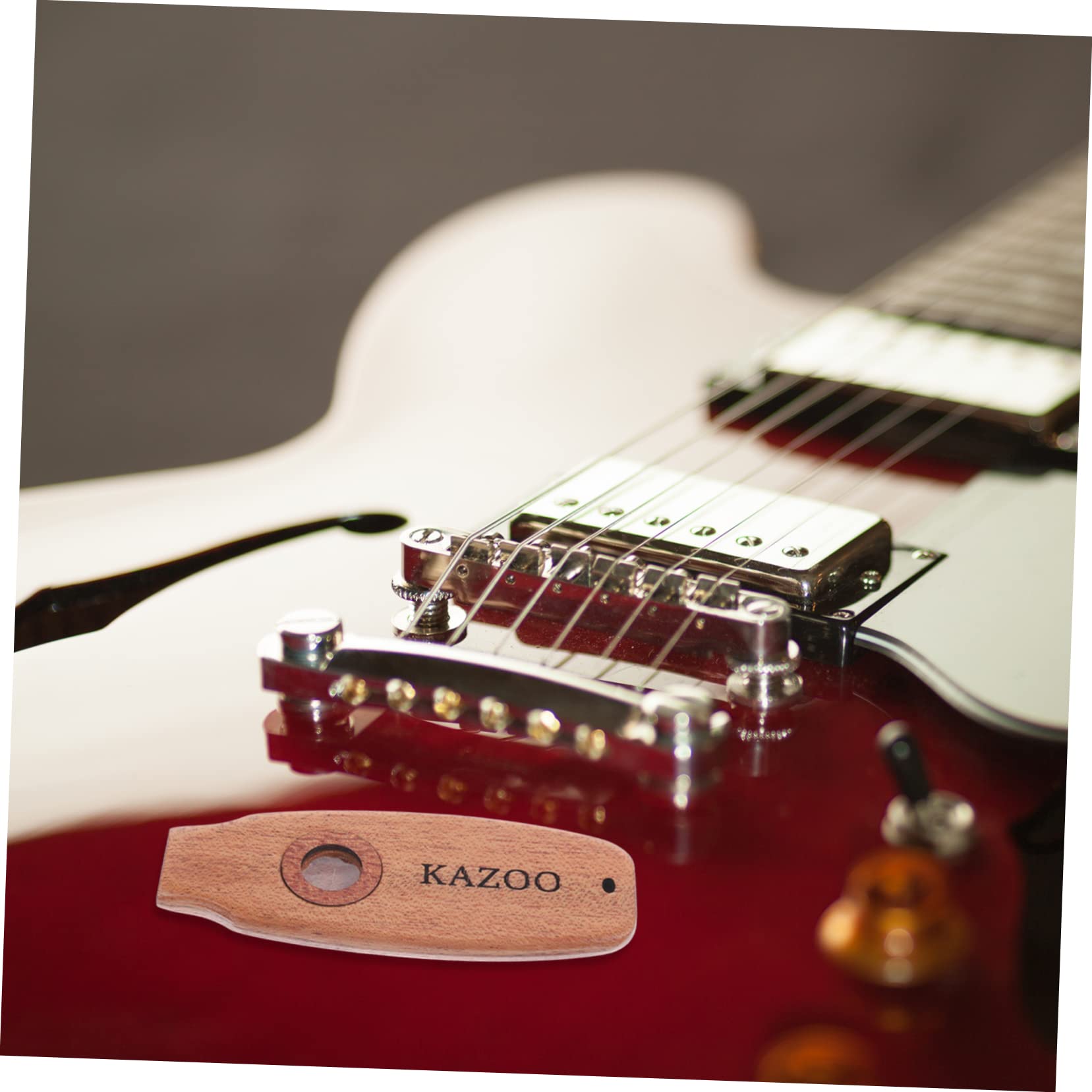 Amazon.co.jp: VICASKY 2個 カズー 音楽おもちゃ 楽器を学び
