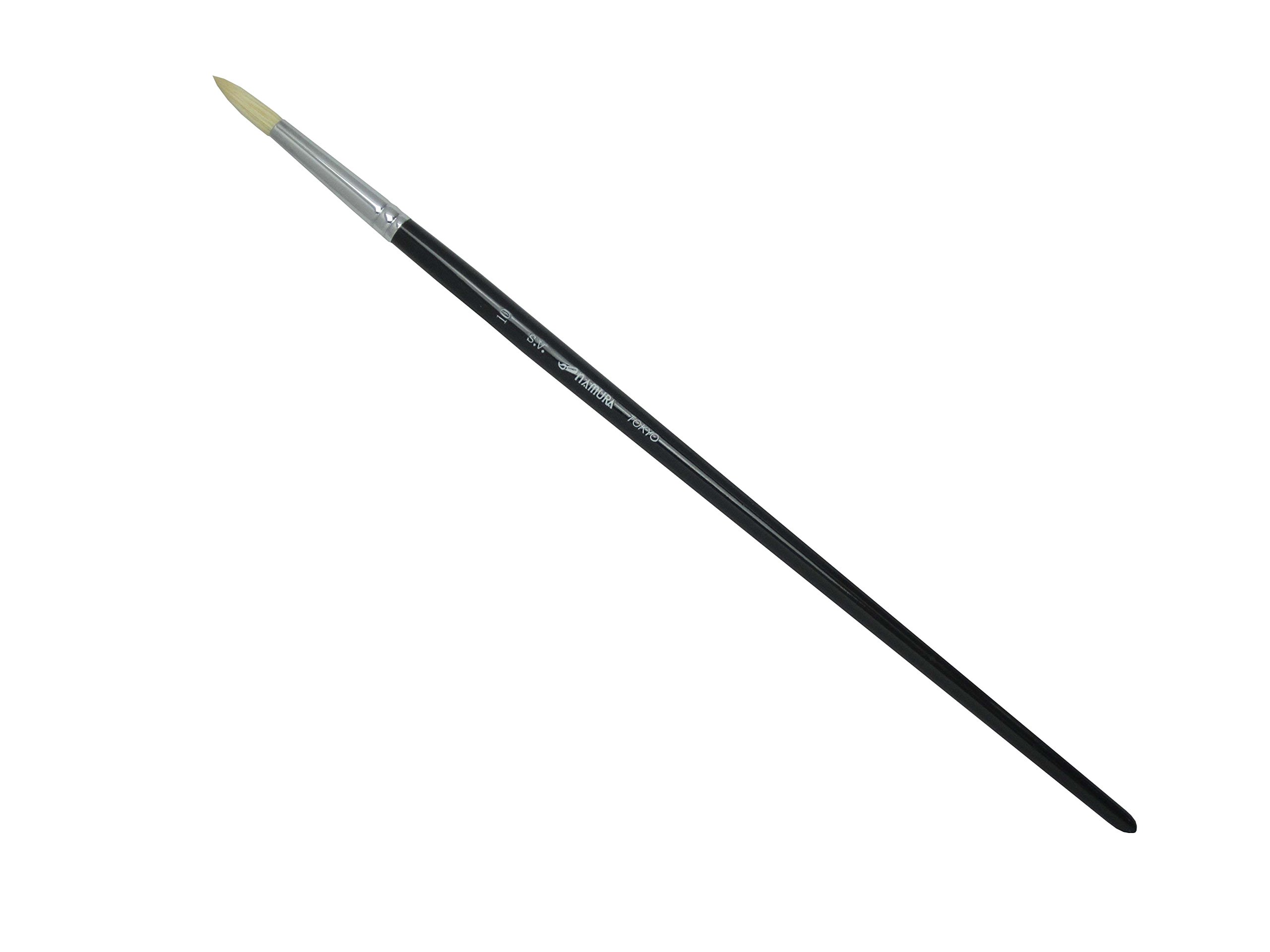 Amazon.co.jp: 名村大成堂(Namurataiseidou) 油彩筆 SV 10号 丸 油絵