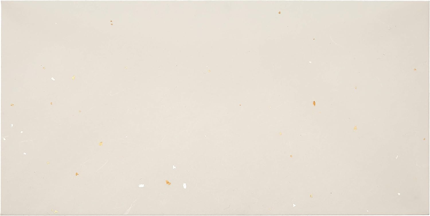 Dainao 205003207 Printer Envelopes, Washi Paper, Oirei Paper, B5, 5 Sheets
