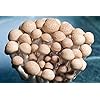 Product Photo 7