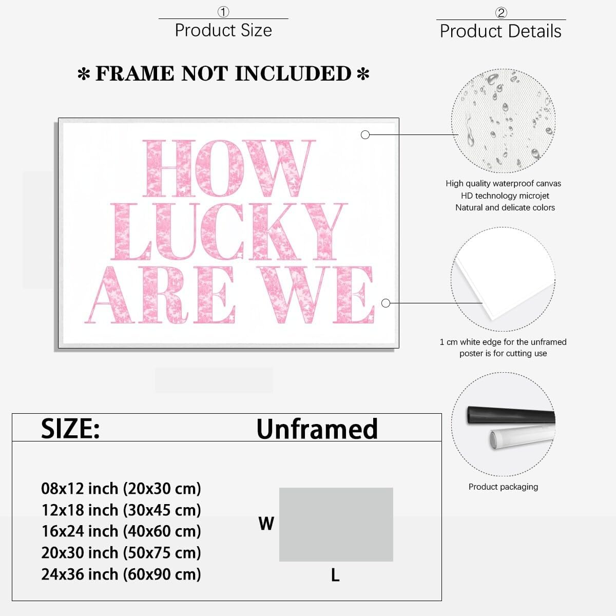 How Lucky Are We Print Wall Art, Trendy Grandmillennial Song Lyrics Art Canvas Wall Decor, Retro Pink Floral Aesthetic Positive Affirming Quote Poster for Apartment Bedroom Dorm 16x24inch Unframed - Image 2