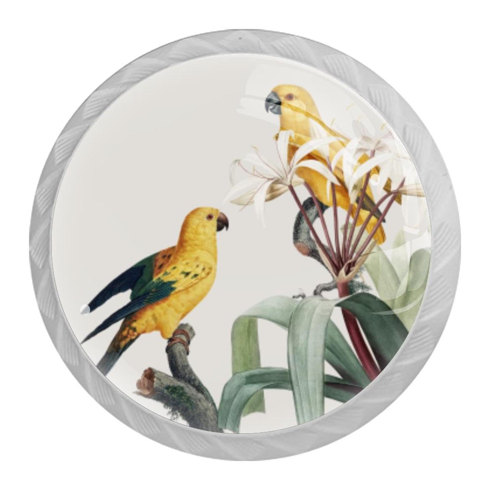 Tqmspg Multi14 4 Pieces Drawer Pulls Tropical Parrots Birds Flowers Door Knobs Dresser Handles For Kitchen Wardrobe Cupboard Hardware Furniture