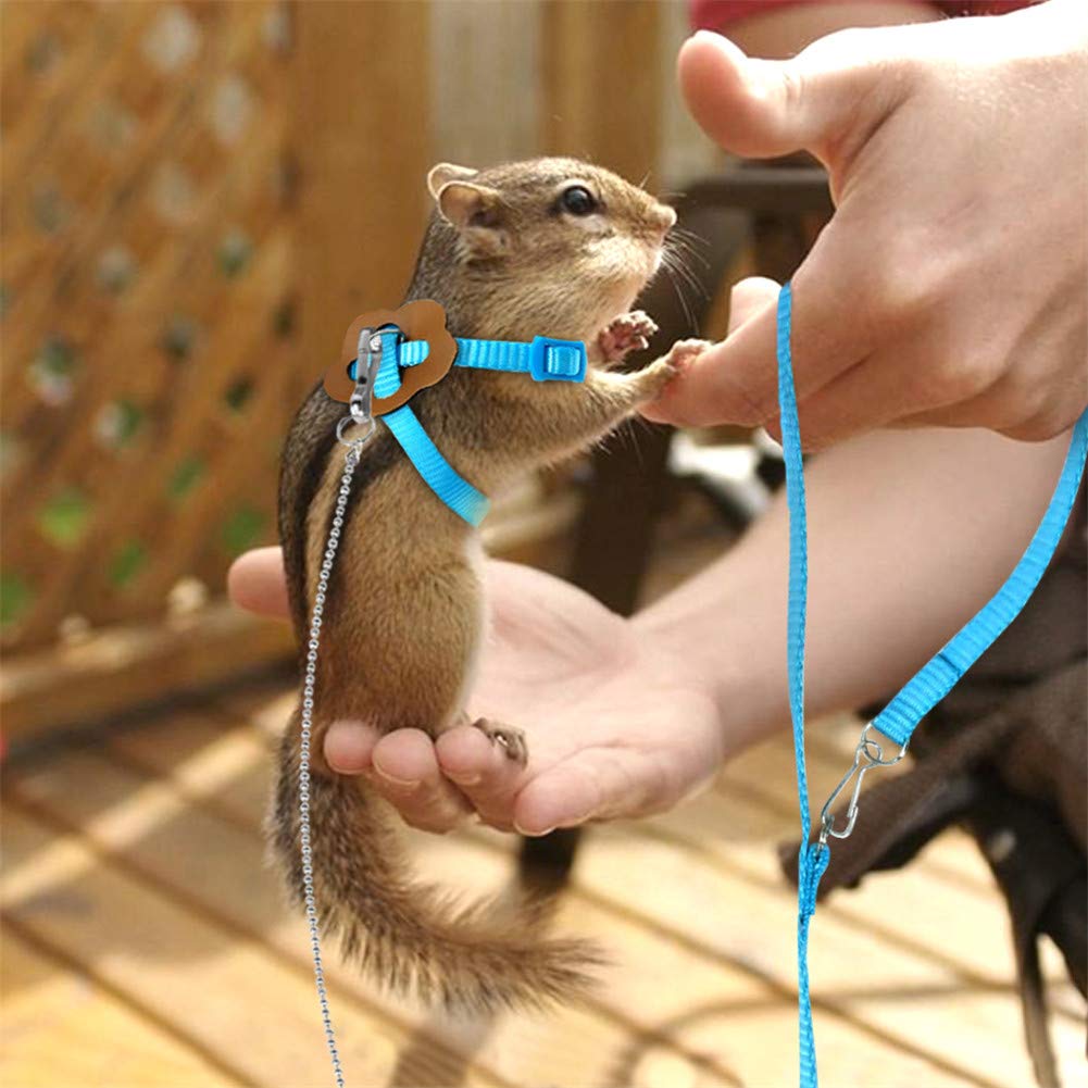 SOCHII Pettorina e guinzaglio in nylon per criceto regolabile furetto ratto topo coniglietto pettorine gilet corda guinzaglio cavia accessori petto blu sotto 23 cm
