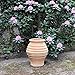 Produktbild Palatina-Keramik | kleine, winterharte Amphore für den Garten | mediterrane Pflanzgefäße Pflanzkübel Keramik, ideal als Garten Deko, 35 cm Agave