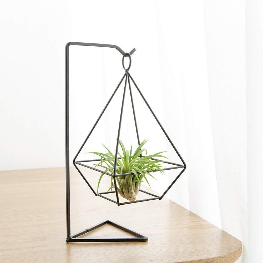 See full amazon price history chart for DILNAZ ART 1pc Air Plant Holder, Air Plant Terrarium, Air Plant Stand, Air Plant Hanger (Stand Included) (Style 2) DILNAZ ART 1pc Air Plant Holder, Air Plant Terrarium, Air Plant Stand, Air Plant Hanger (Stand Included) (Style 2) (B08YYWD6HW) Amazon Price History, Amazon Price Tracker