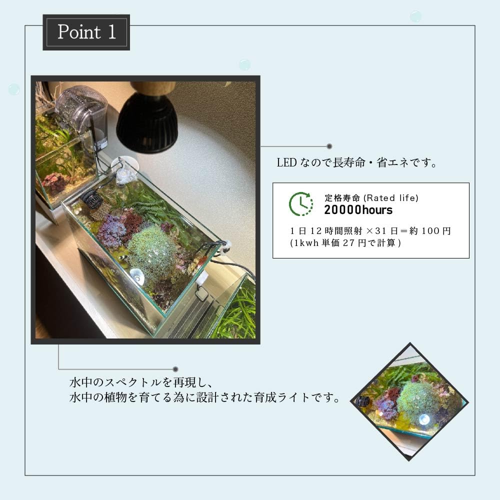 SUSANOO 10W スポットライト 白色光 【公式通販】