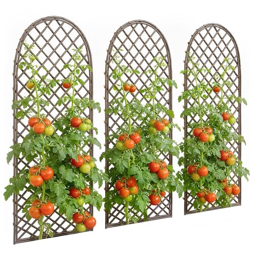 Outsunny Lot de 3 Treillis de Jardin en Osier tissé - Panneau Voûté pour Plantes grimpantes pour Légumes, Fleurs, Vignes, 43 x 2 x 112 cm, Effet Bois...