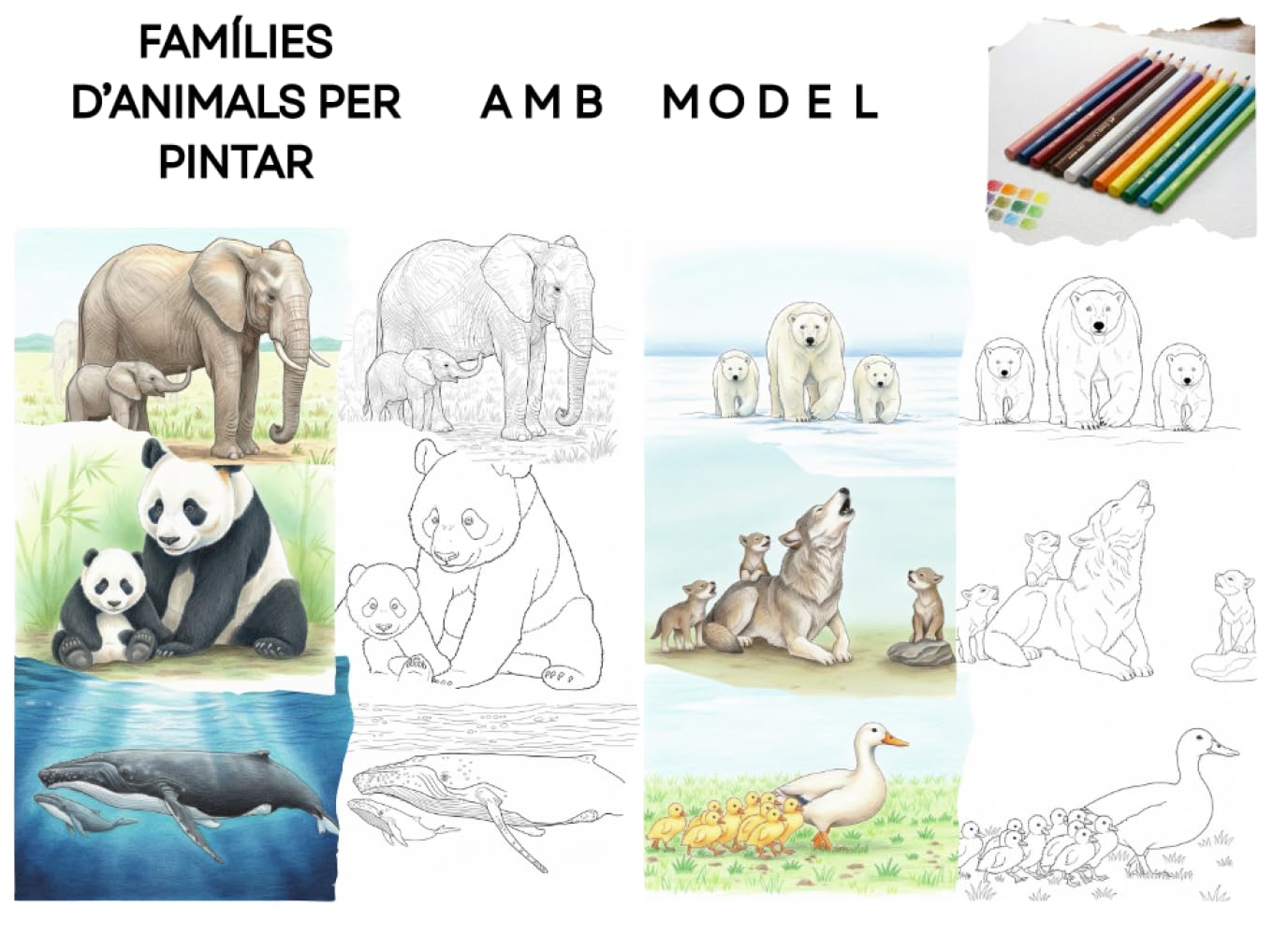 Famílies d'animals: Animals adults amb les seves cries per a pintar – Un llibre realista per a compartir en família. Amb model per pintar amb llapis de fusta.