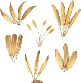 WENCELYL Gold Feather Assortment 6styles 30pcs Natural Goose Swan Feathers for Wedding Decor DIY Crafts Hat Making Millinery Accessories