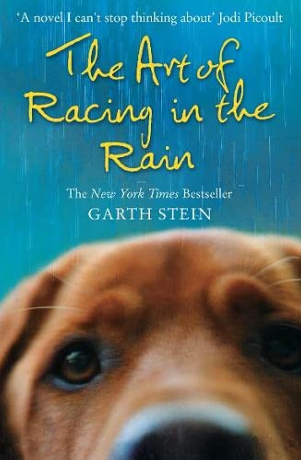 HarperCollins Publishers Ltd The Art of Racing in the Rain