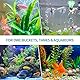 Pawfly 3cm Aquarium Luftstein Zylinder-Sprudelstein Nano Leise Hochleistungs Zerstäuber Blasenfreigabe-Werkzeug für Nano-Luftpumpen Eimer und Aquarien Bläschenstein für gelösten Sauerstoff, 10 Stück‌