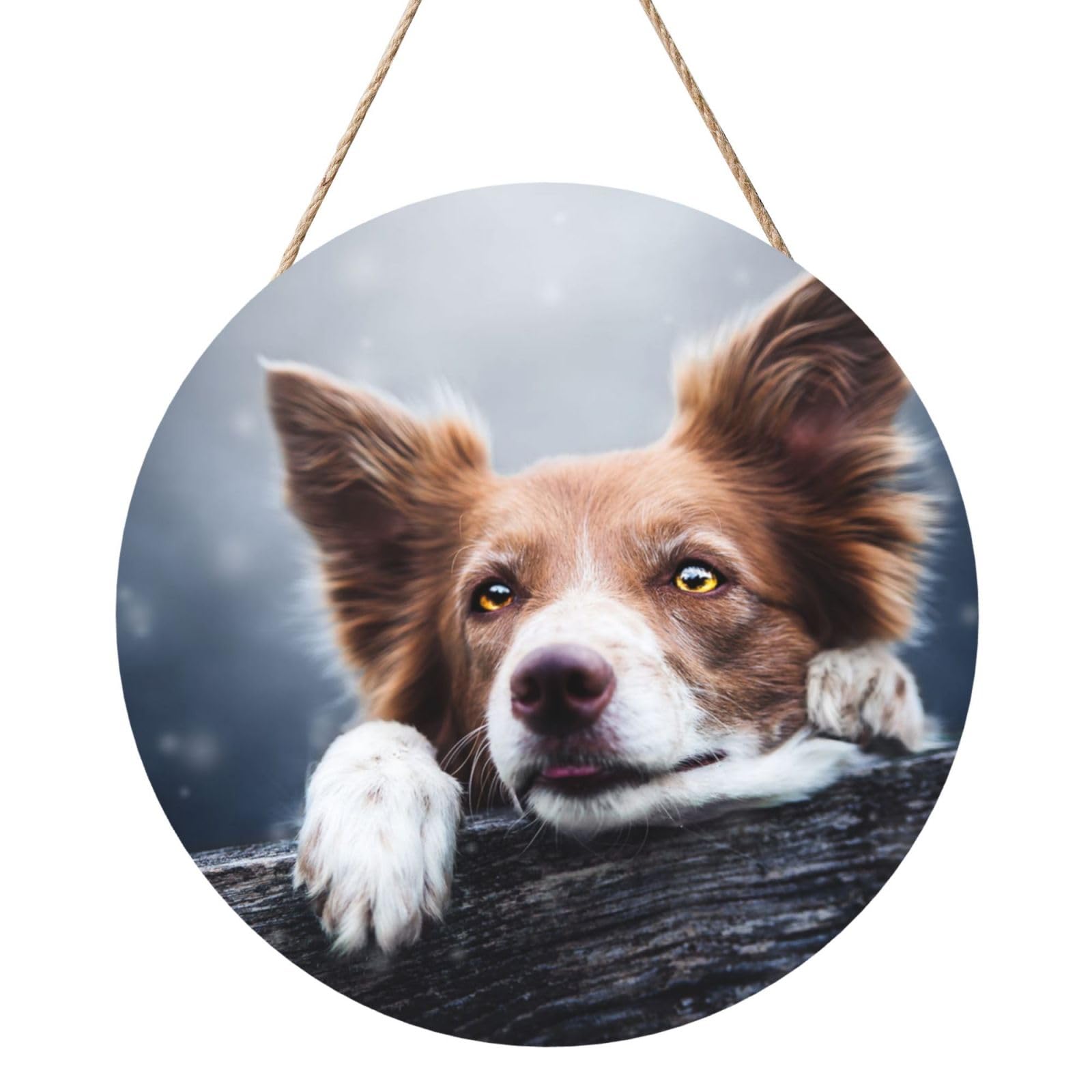 InOmak Brown Border Collie Bokeh God With Yellow Eyes, Round Wood Panel Painting 12 in, Wall Hanging Painting For Home
