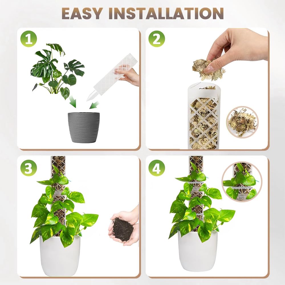 Moss pole 6 Pezzi,Bastone per Piante Rampicanti,Sostegno per Piante,Palo di Sfagno per Monstera,Moss Pole Plastic,4 Spille, 4 Bottiglie a Goccia, 4 Diaframmi di Riproduzione, 100 Fascette