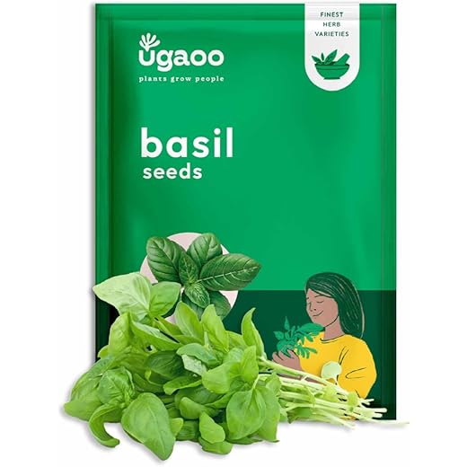 UGAOO Italian Basil Seeds Pack of 1000