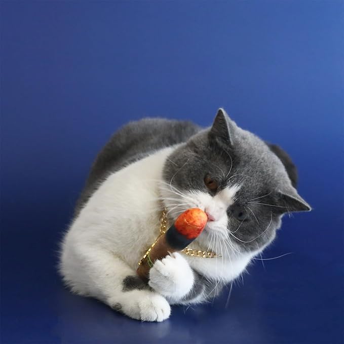 Disfraz de Gafas y Cadena de Oro para Perro, Accesorios de Superestrella miniatura 8