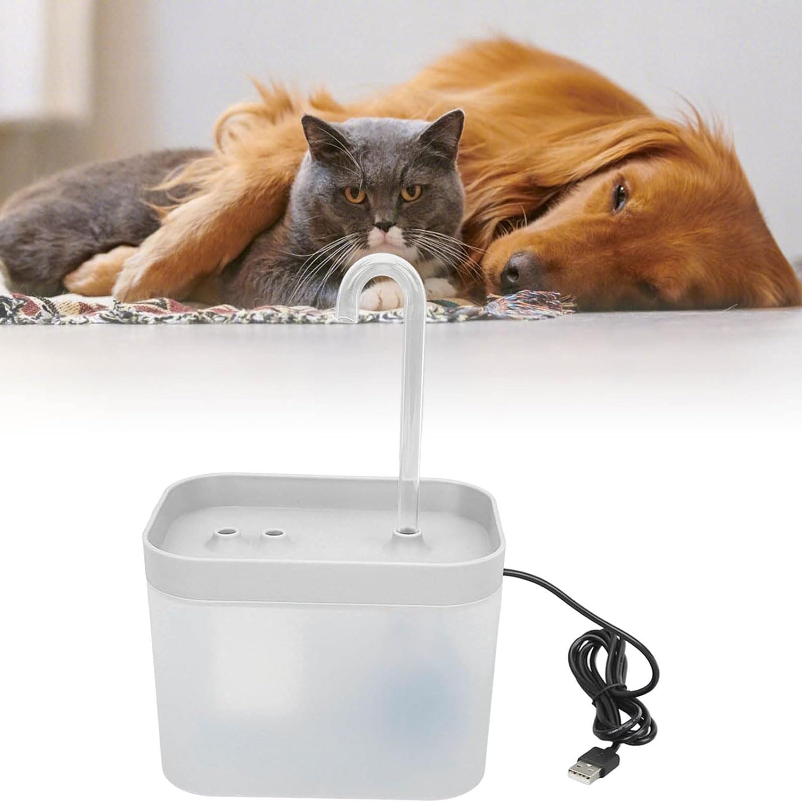 Fontana del gatto Fontana per gatti da 1500 ml Distributore automatico di acqua per animali domestici Fontane per gatti ultra silenziose Fontana per cani per gatti, cani Fontana d'acqua per gatti