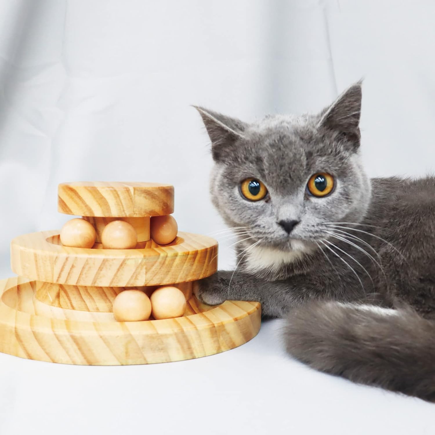 Maedhao Cat Ball Track Toy,Pet Toys,Natural Sustainable