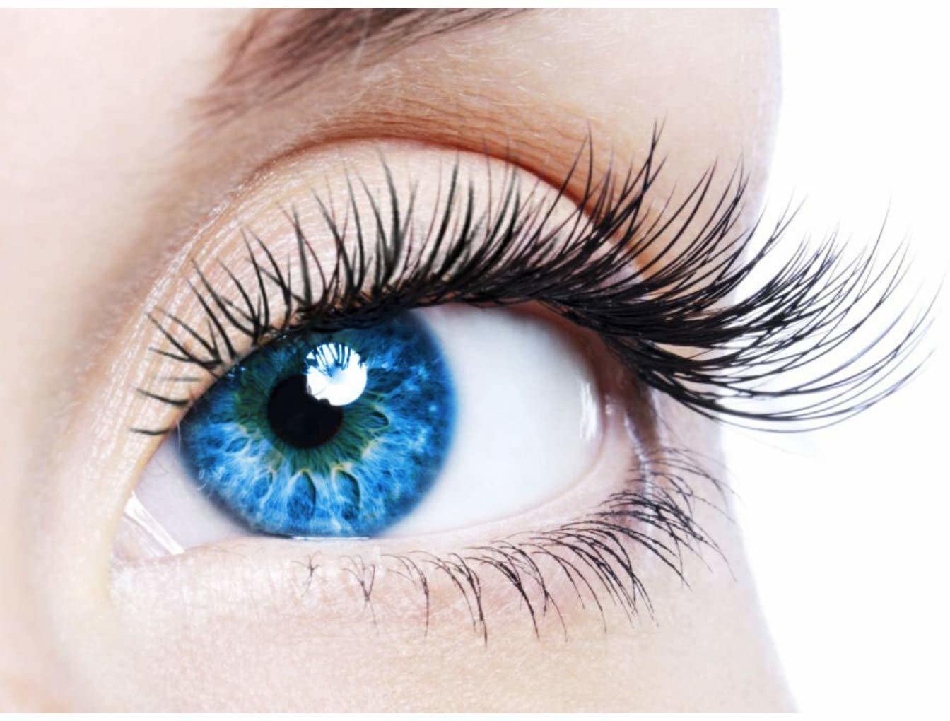 EYCOG || Korean Eye Coler Contact lens for your New Classic Look (Hazel, One, 0) (B0BR5QVCHP) Amazon Price History, Amazon Price Tracker