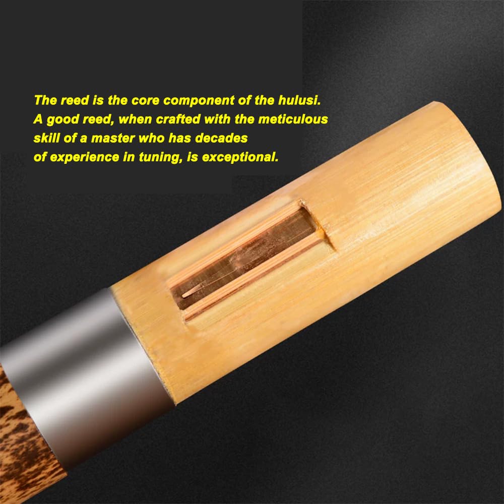 Bawu verticale in legno di sandalo, strumento a fiato per ensemble da palco per adulti, include accessori e scatola di immagazzinaggio,Nero,C#