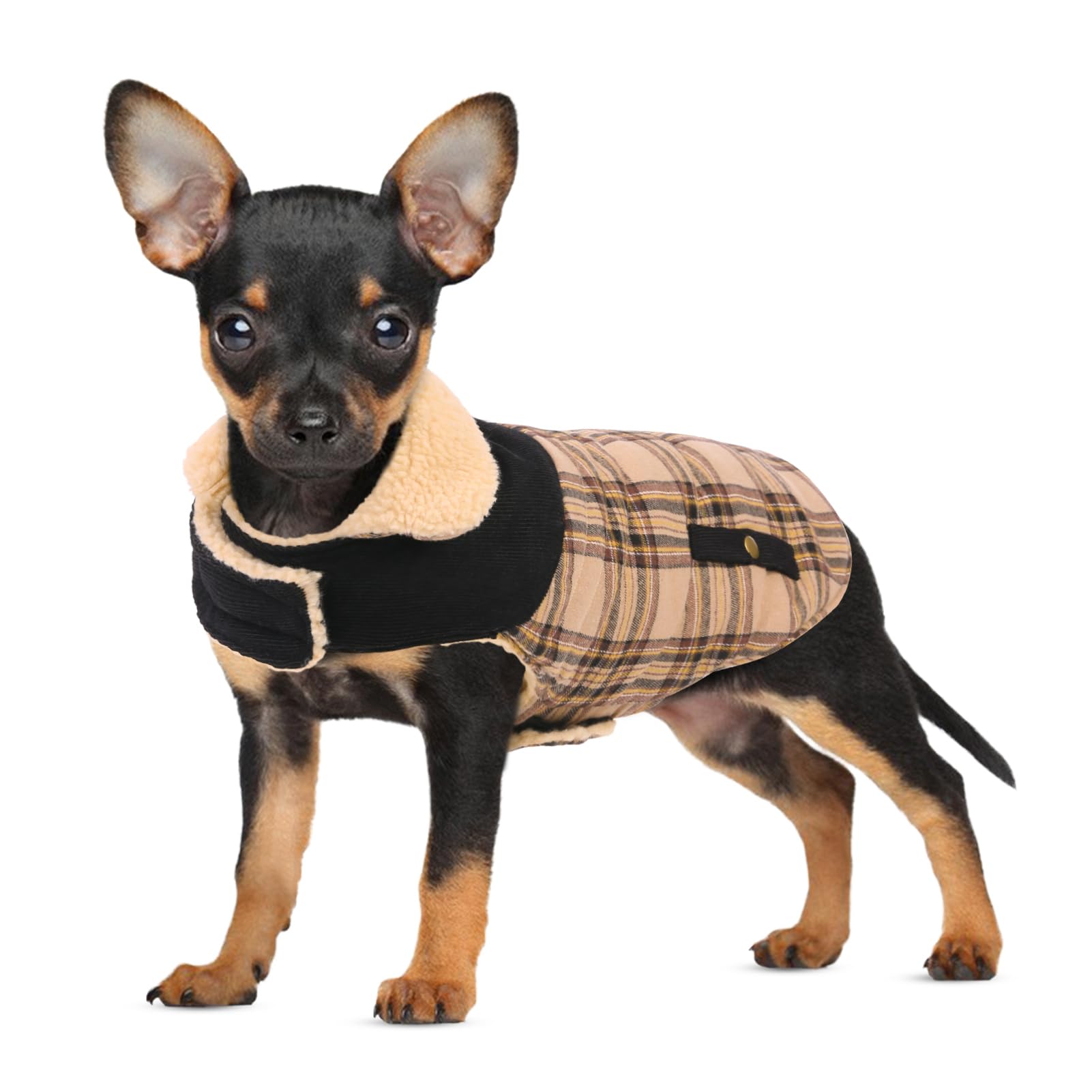 CITΓTOILE Dog Coat β Warm Fleece-Lined Dog Jacket for Small & Medium Dogs, Windproof Winter Dog Costume with Soft Lamb Wool, Cozy Cold Weather Apparel, Beig, XS