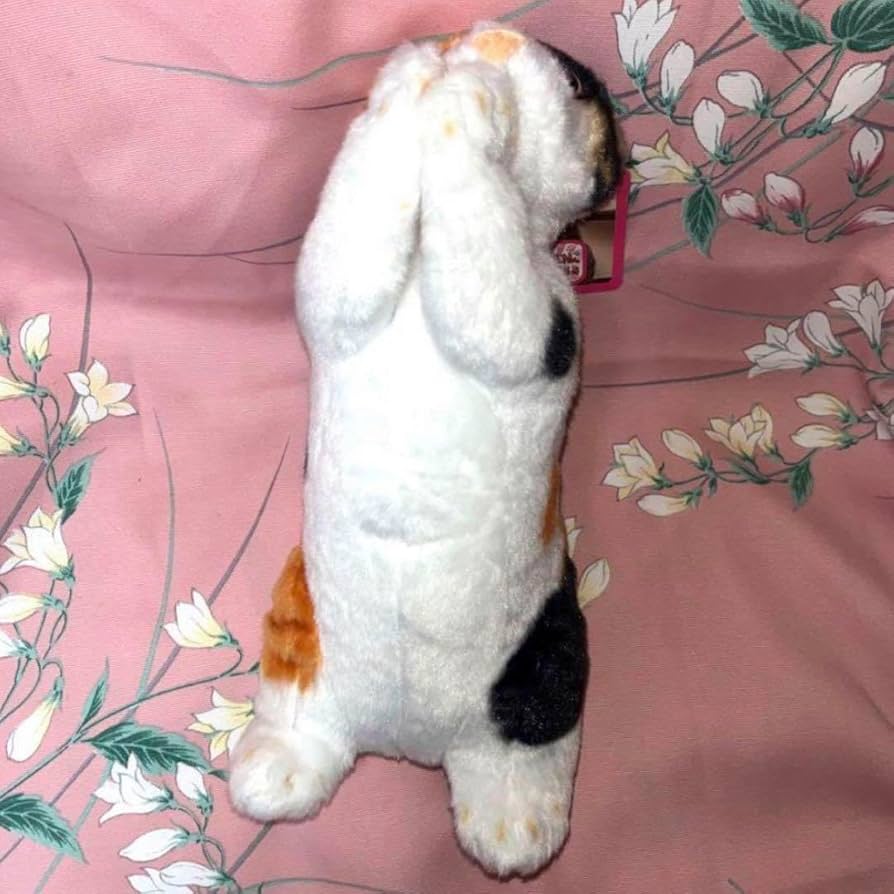 リアルな猫のぬいぐるみ♡お願いにゃんこ♡猫お利口ぬいぐるみ♡まとめ売り♡9体 Amazon.co.jp: たっちいZOO にゃんこ リアル猫 ぬいぐるみ 6体