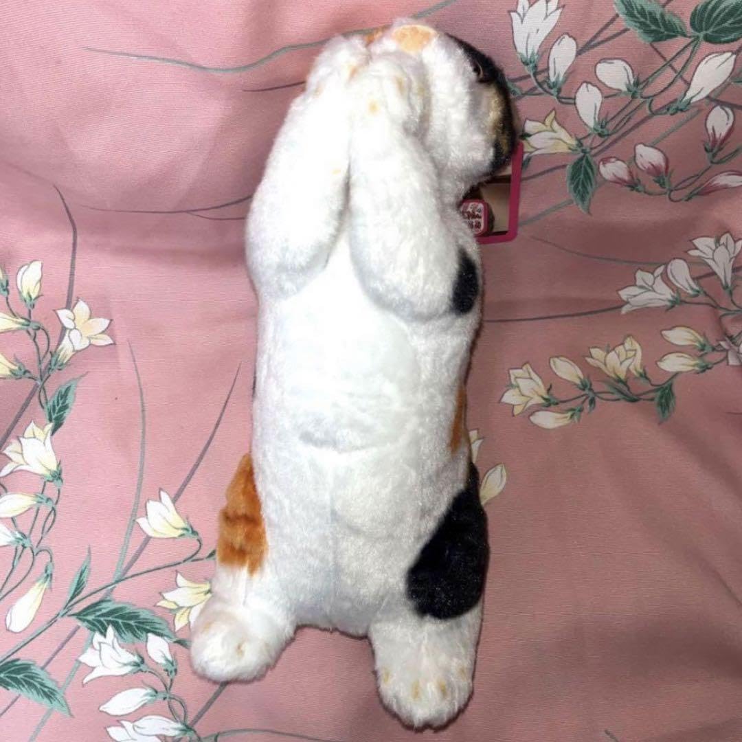 リアルな猫のぬいぐるみ♡お願いにゃんこ♡猫お利口ぬいぐるみ♡まとめ売り♡9体 umao - ぬいぐるみ ねこ | stacks bookstore