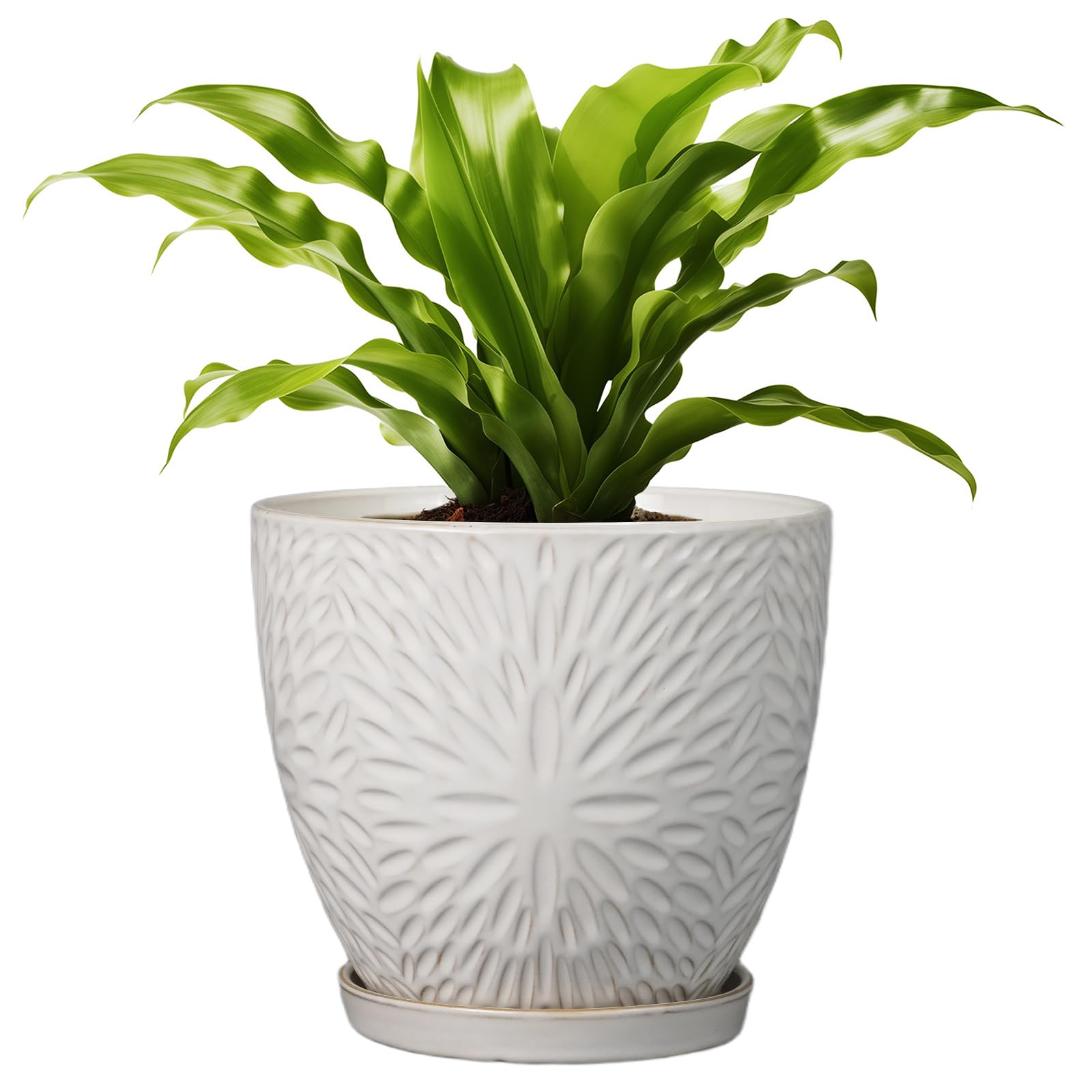 G EPGardening 8 Inch Ceramic Plant Pot with Saucer