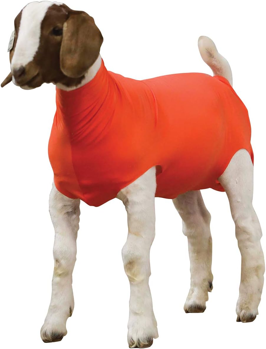 Tube de chèvre en spandex hawaïen de taille Haiti