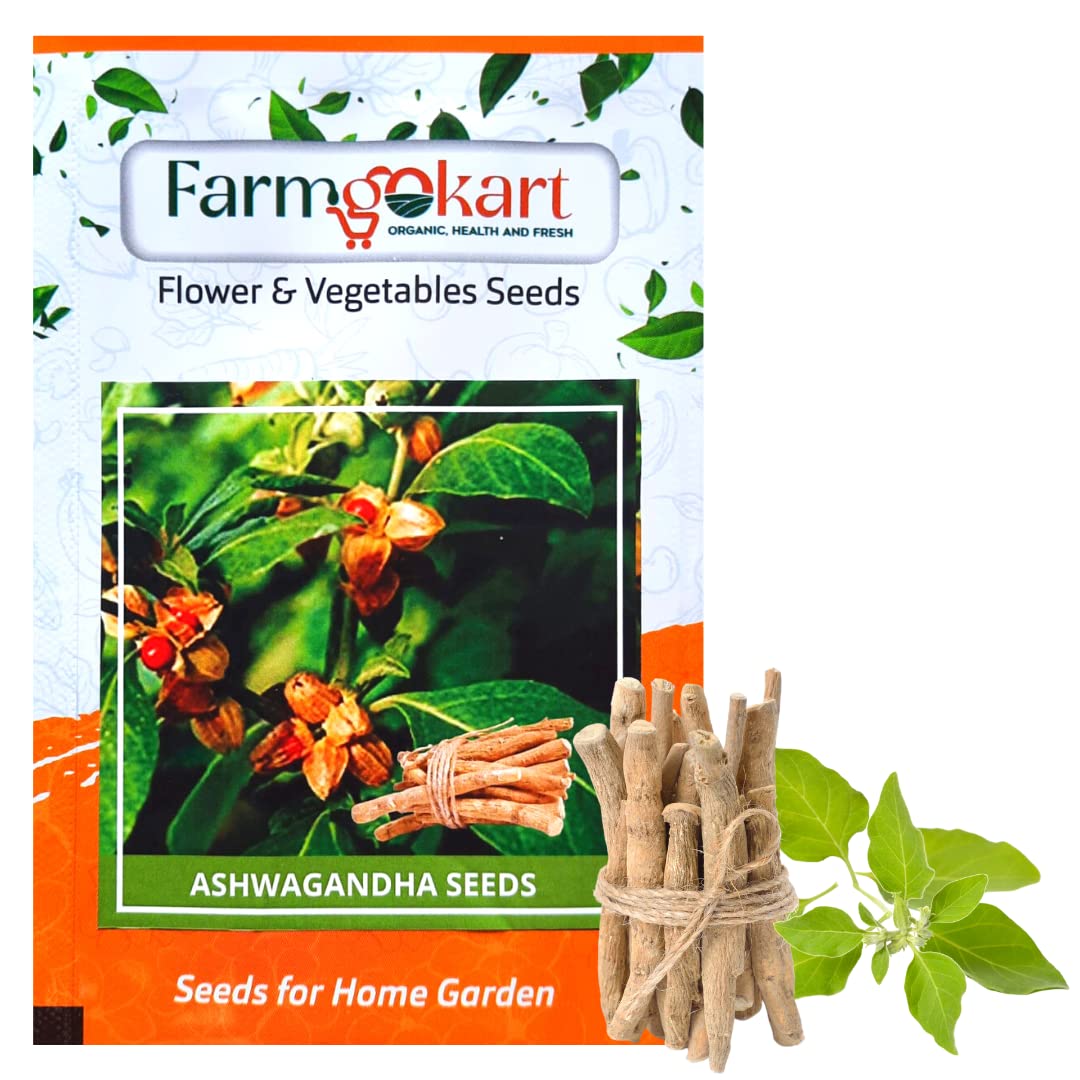 10 Gms ASHWAGANDHA Herb Seeds|for Home Gardening, Farming, Hydroponics and Poly Houses| (B0BX6PV5D2) Amazon Price History, Amazon Price Tracker