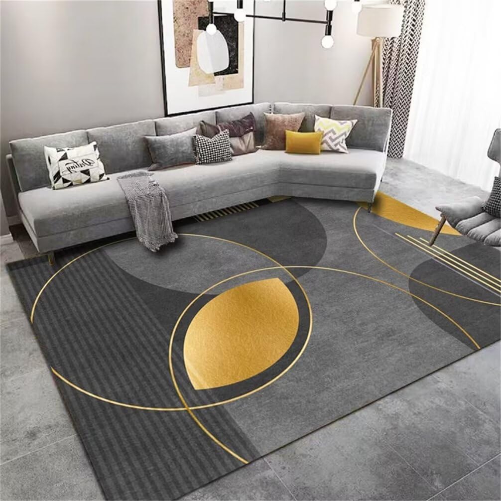 Moquette intérieure salon et grand tapis chambre ado garçon gris