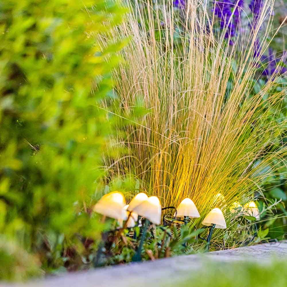 LUMI JARDIN 10 mini solarnych grzybów świetlnych znaczników ścieżki CHAMPY LED ciepła biel 3,8 m