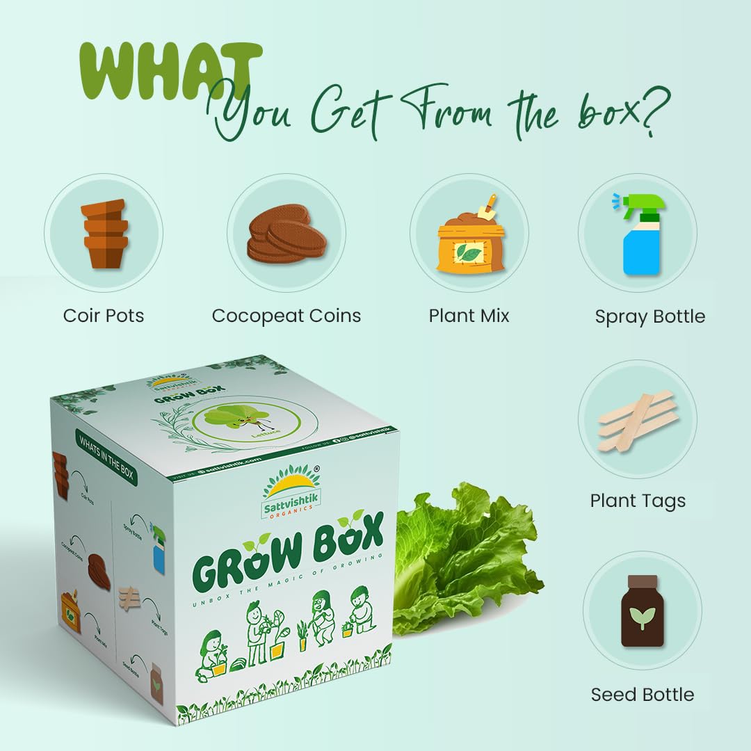 Sattvishtik Grow Box Lettuce Vegetable Kit for Kids | Pack of 1 | Eco Friendly Gift for Kids | Beginner Gardeners | DIY | Easy Grow it Yourself Gardening Kit for Home & Garden 2