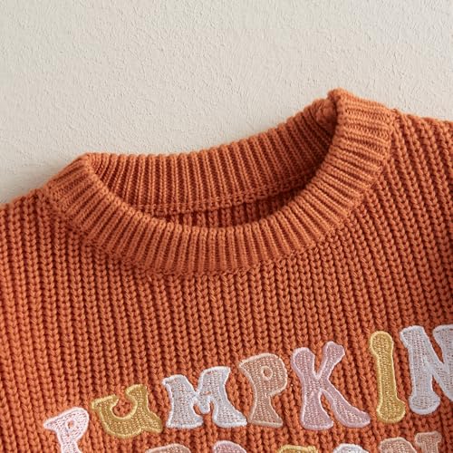 toddler knit sweater pullover blouse pumpkin sweater baby girl boy winter fall clothes