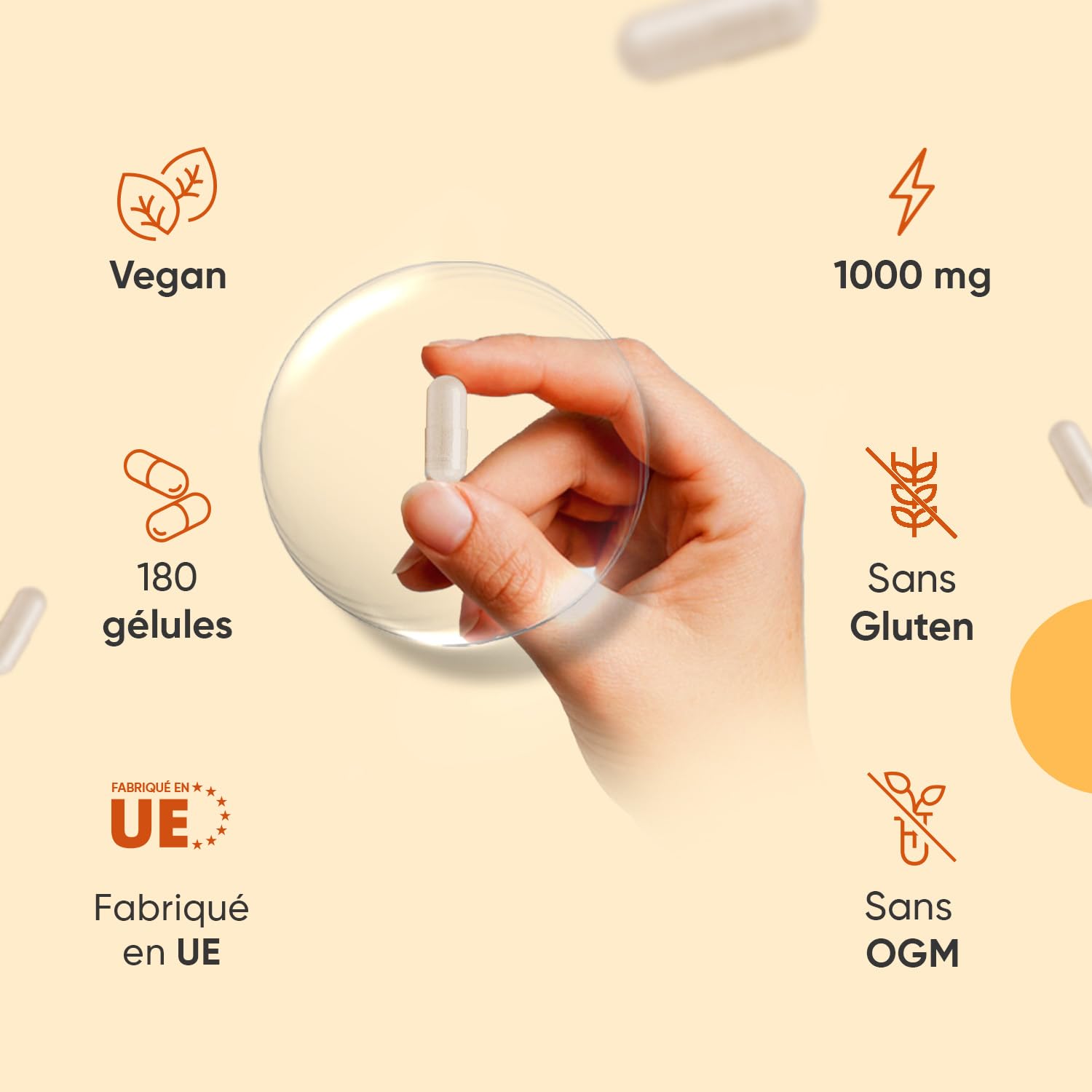Vitamine C Liposomale 1000mg, 180 Gélules Vegan, Vit C 1000mg Liposomale Gélules, Acide Ascorbique Enrichie avec Extrait d'Églantier (Cynorrhodon) & Phospholipides de Tournesol pour 3 Mois