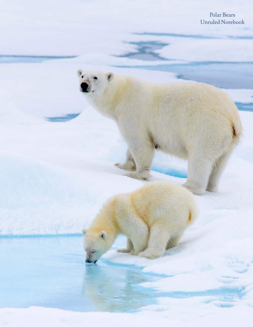 Polar Bears Unruled Notebook: Unruled, blank notebook. No lines. No page numbers. Glossy cover with image on front and back. Full size at 8.5 x 11 inches. Great for artwork or journals.